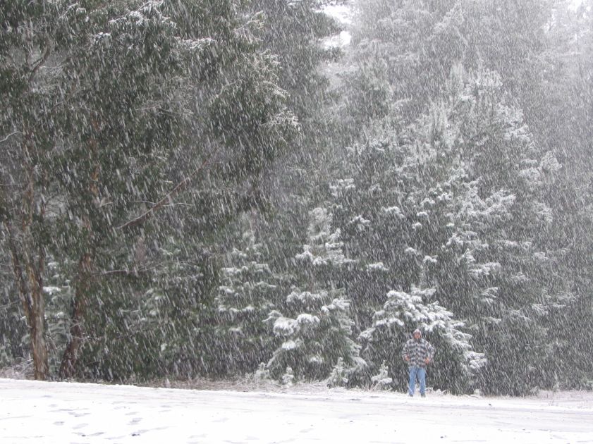 precipitation precipitation_rain : near Shooters Hill, NSW   10 August 2005