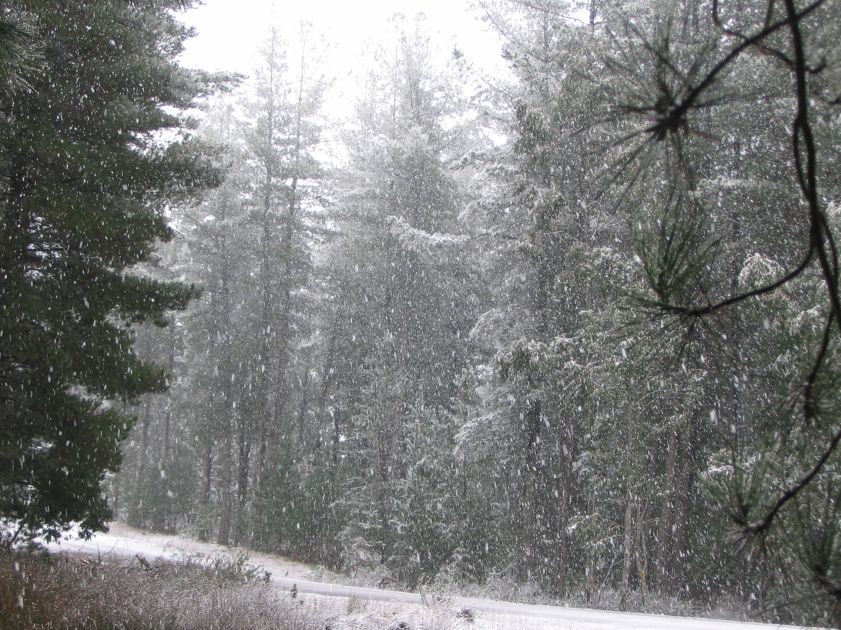 snow snow_pictures : near Shooters Hill, NSW   10 August 2005