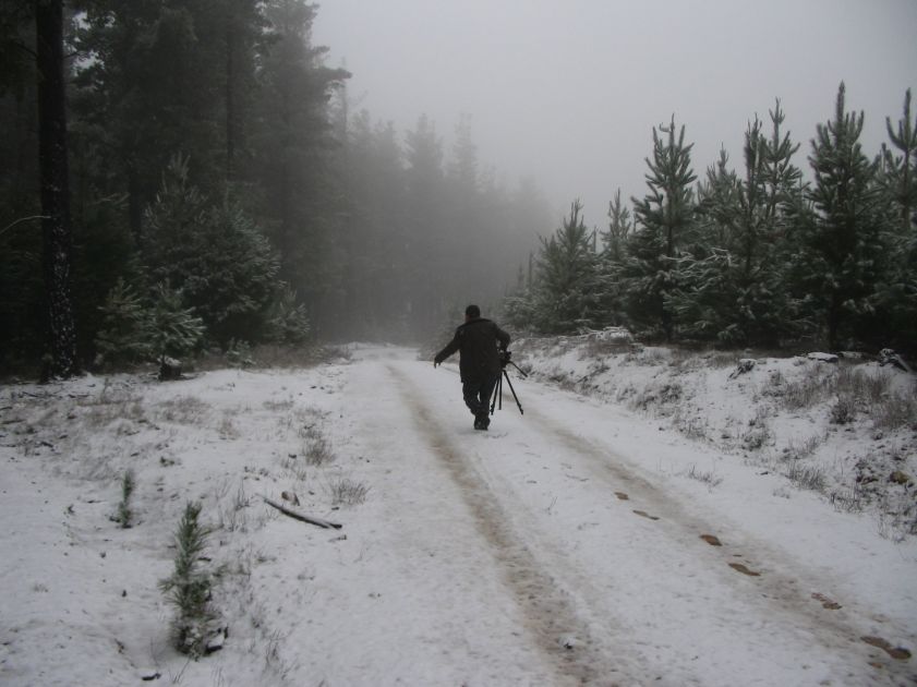 snow snow_pictures : near Shooters Hill, NSW   10 August 2005