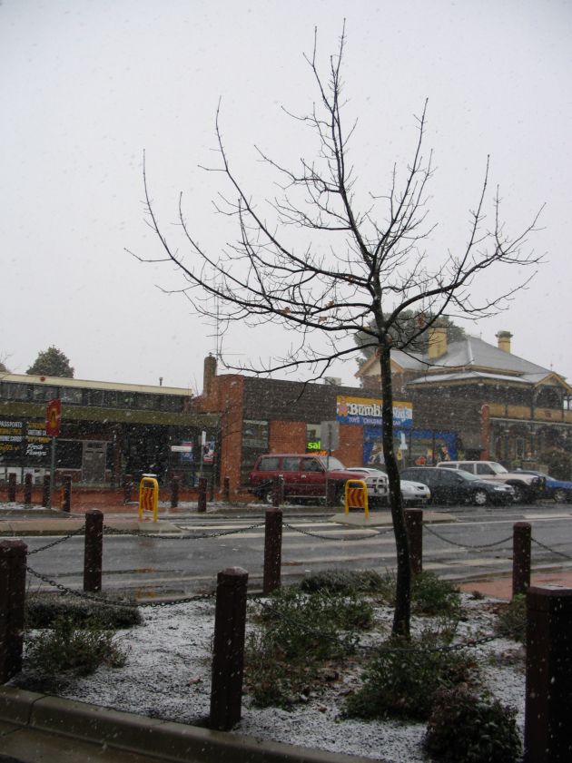 snow snow_pictures : Oberon, NSW   10 August 2005