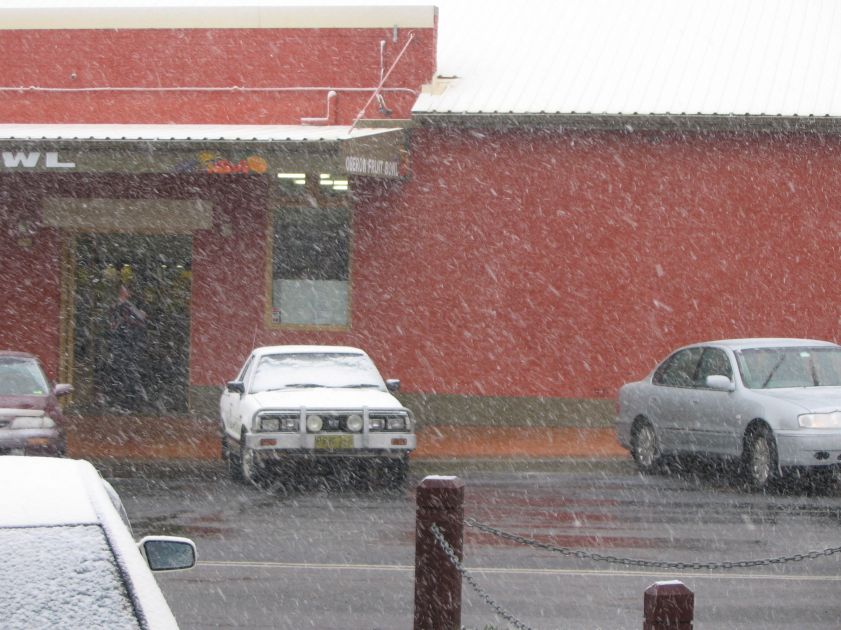 snow snow_pictures : Oberon, NSW   10 August 2005