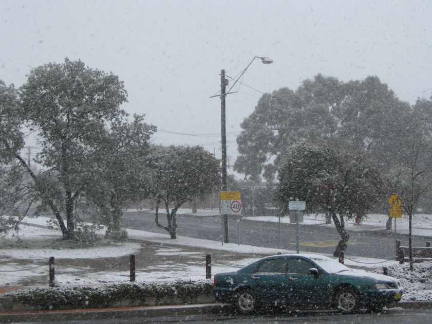 snow snow_pictures : Oberon, NSW   10 August 2005