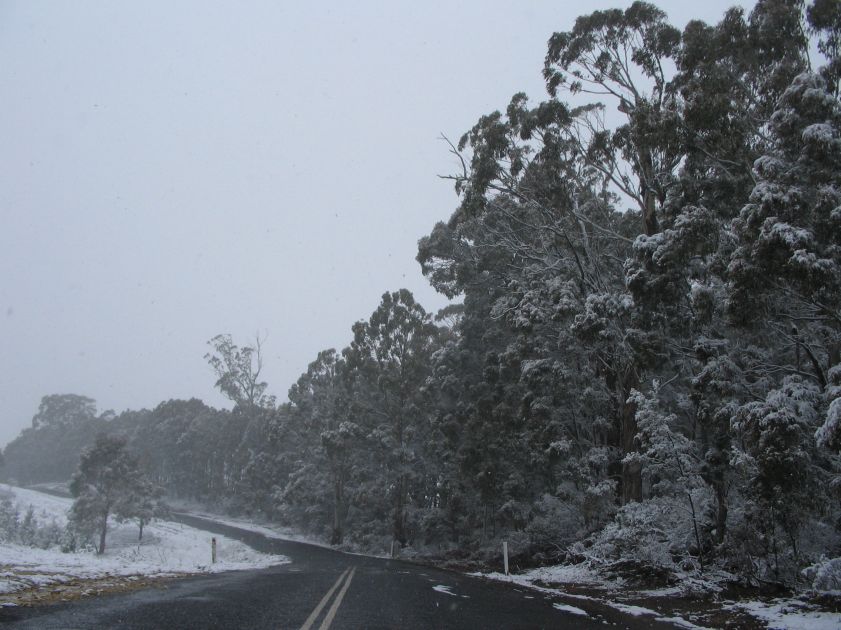 snow snow_pictures : near Oberon, NSW   10 August 2005