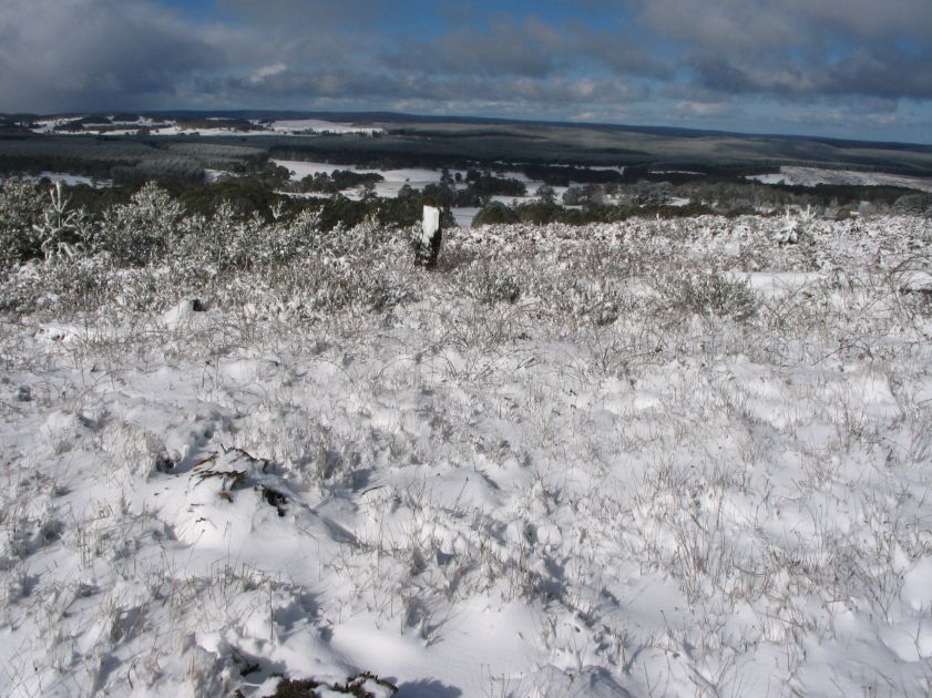 snow snow_pictures : Shooters Hill, NSW   10 August 2005