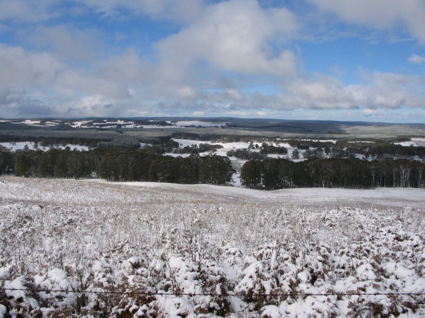 snow snow_pictures : Shooters Hill, NSW   10 August 2005