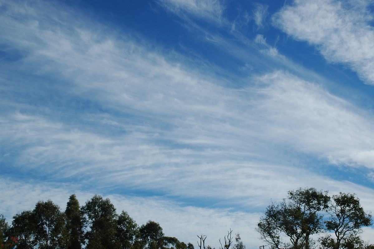 cirrus cirrus_cloud : McLeans Ridges, NSW   11 August 2005