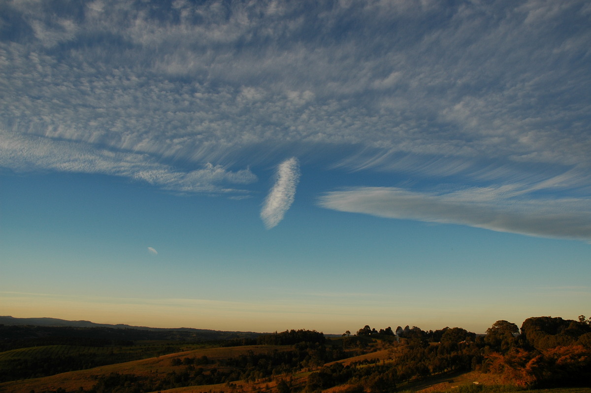 favourites michael_bath : McLeans Ridges, NSW   11 August 2005