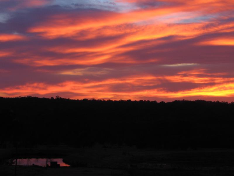 sunrise sunrise_pictures : Schofields, NSW   19 August 2005