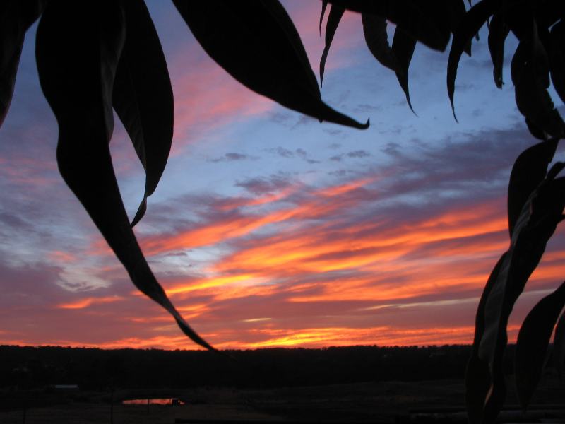 sunrise sunrise_pictures : Schofields, NSW   19 August 2005