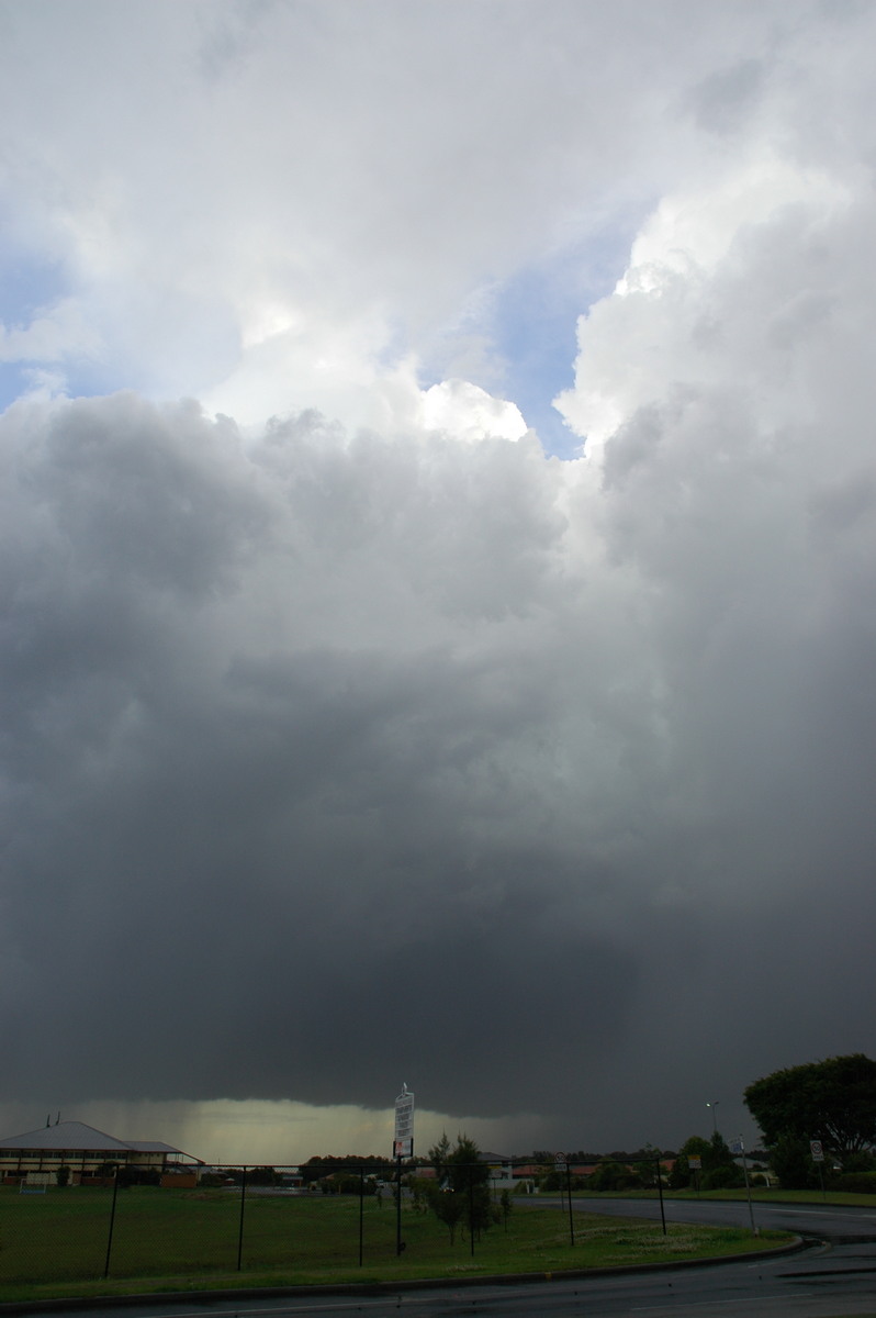 cumulus congestus : Ballina, NSW   4 September 2005