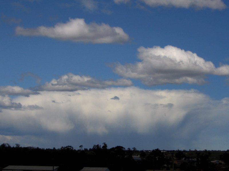 cumulus mediocris : Schofields, NSW   29 September 2005