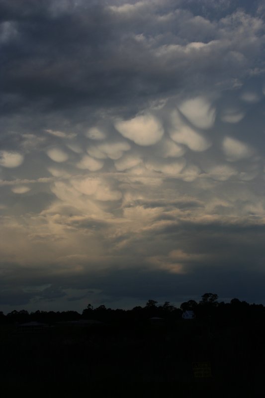 mammatus mammatus_cloud : Castlereagh, NSW   21 October 2005