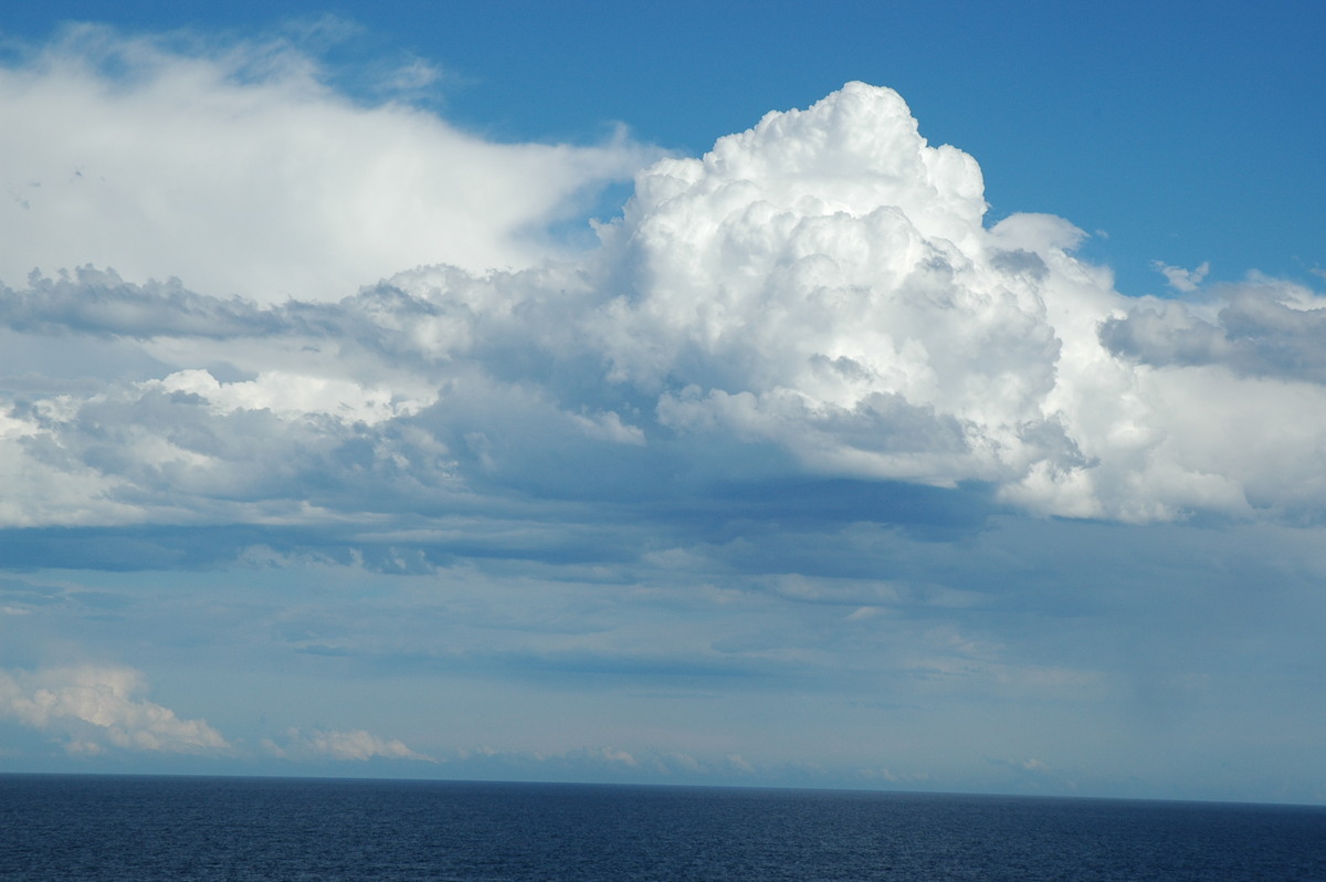 cumulus mediocris : Broadwater, NSW   22 October 2005