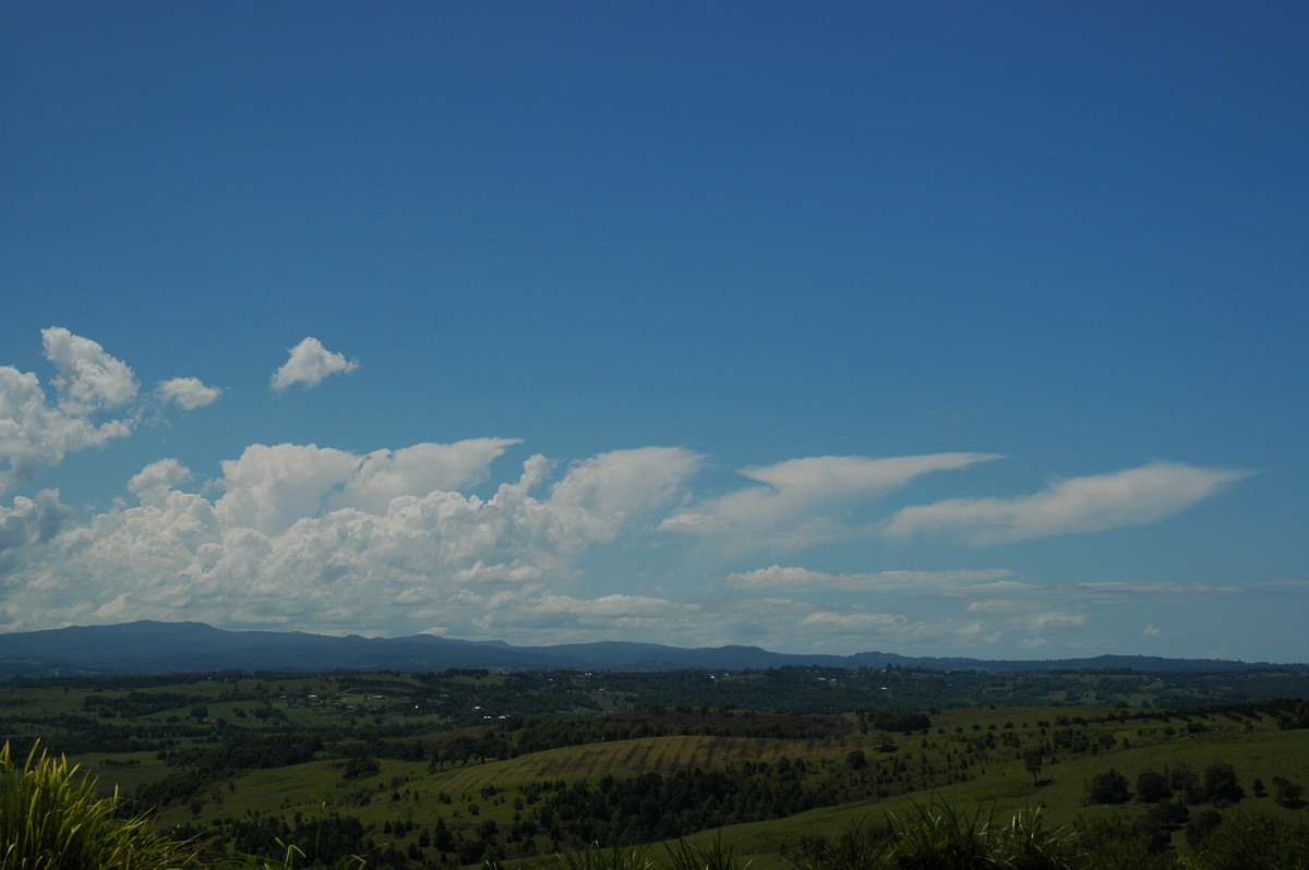 anvil thunderstorm_anvils : McLeans Ridges, NSW   23 October 2005