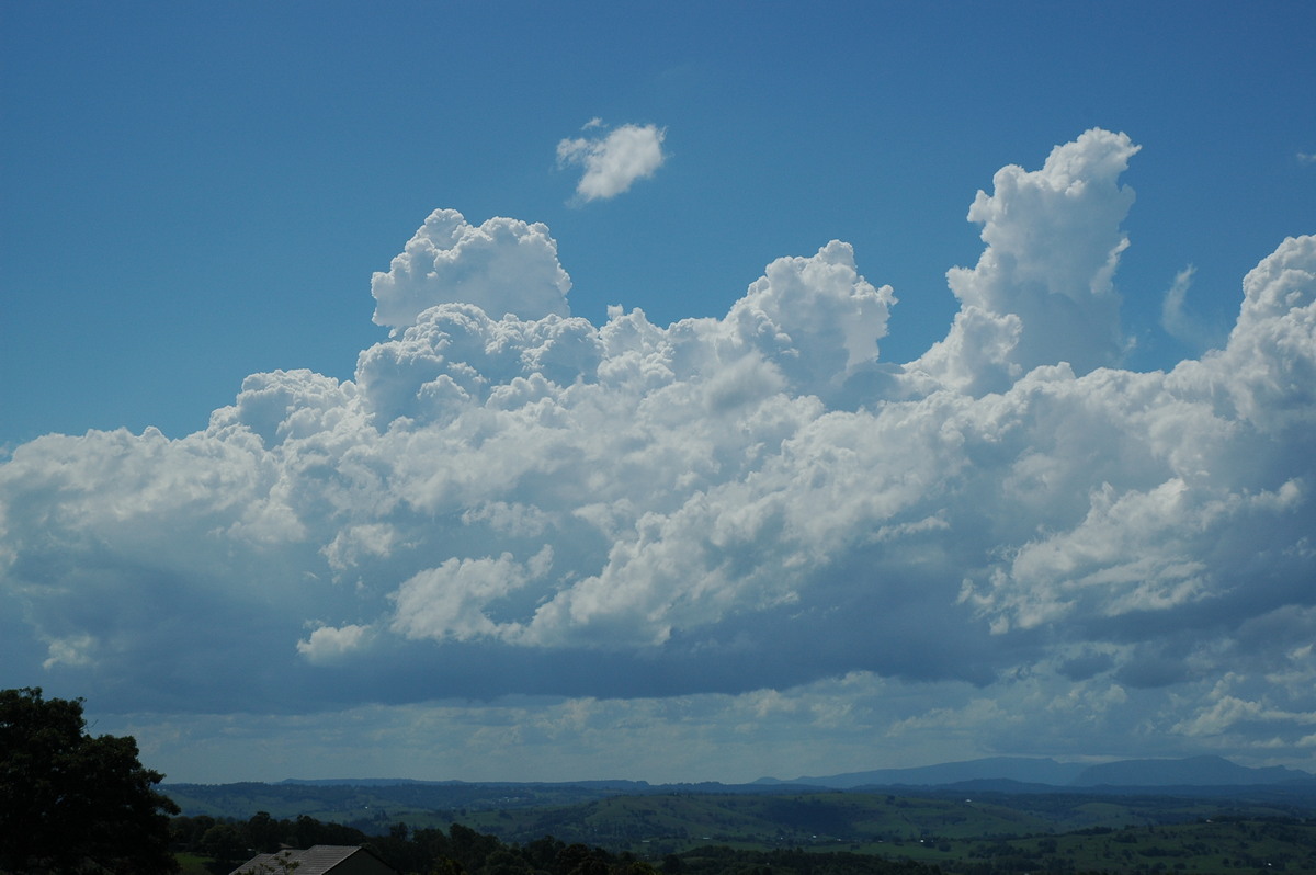 cumulus congestus : McLeans Ridges, NSW   23 October 2005