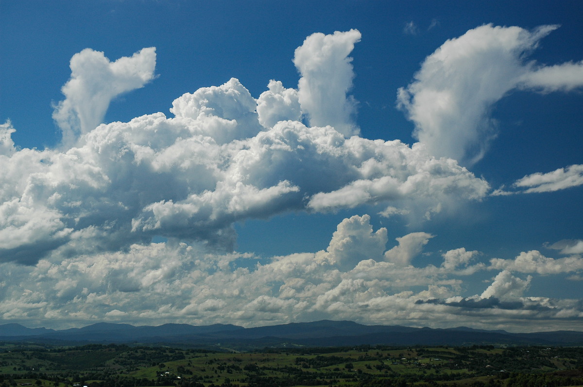 anvil thunderstorm_anvils : McLeans Ridges, NSW   23 October 2005