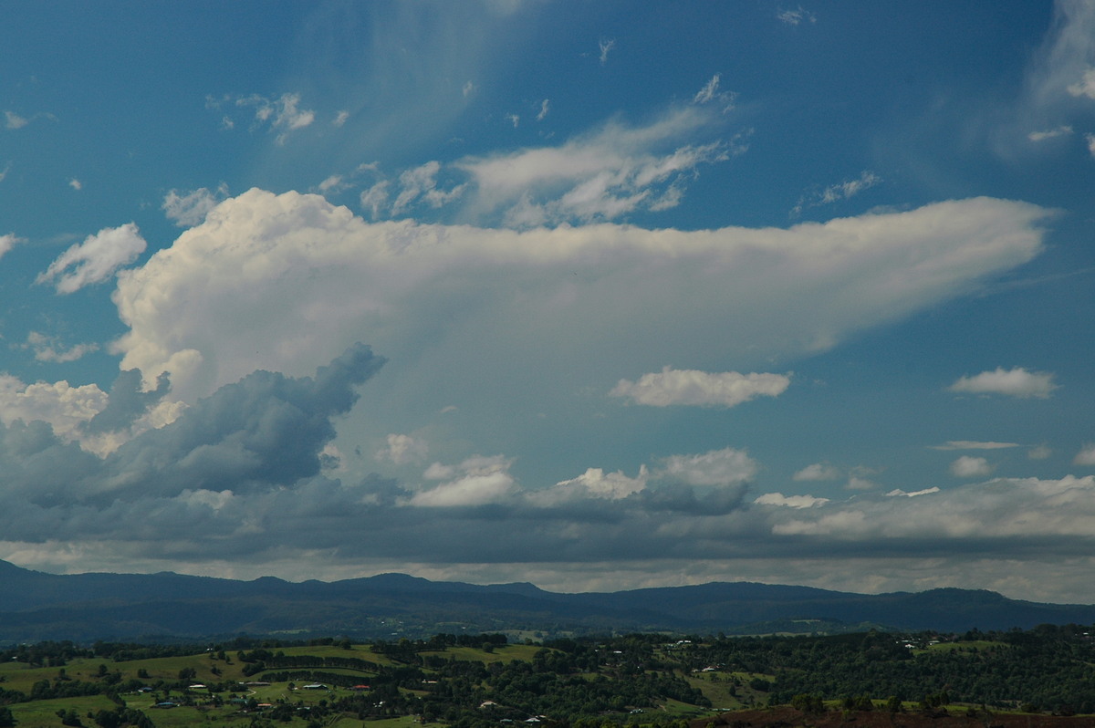 anvil thunderstorm_anvils : McLeans Ridges, NSW   23 October 2005