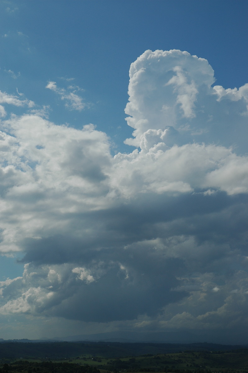 thunderstorm cumulonimbus_calvus : McLeans Ridges, NSW   23 October 2005