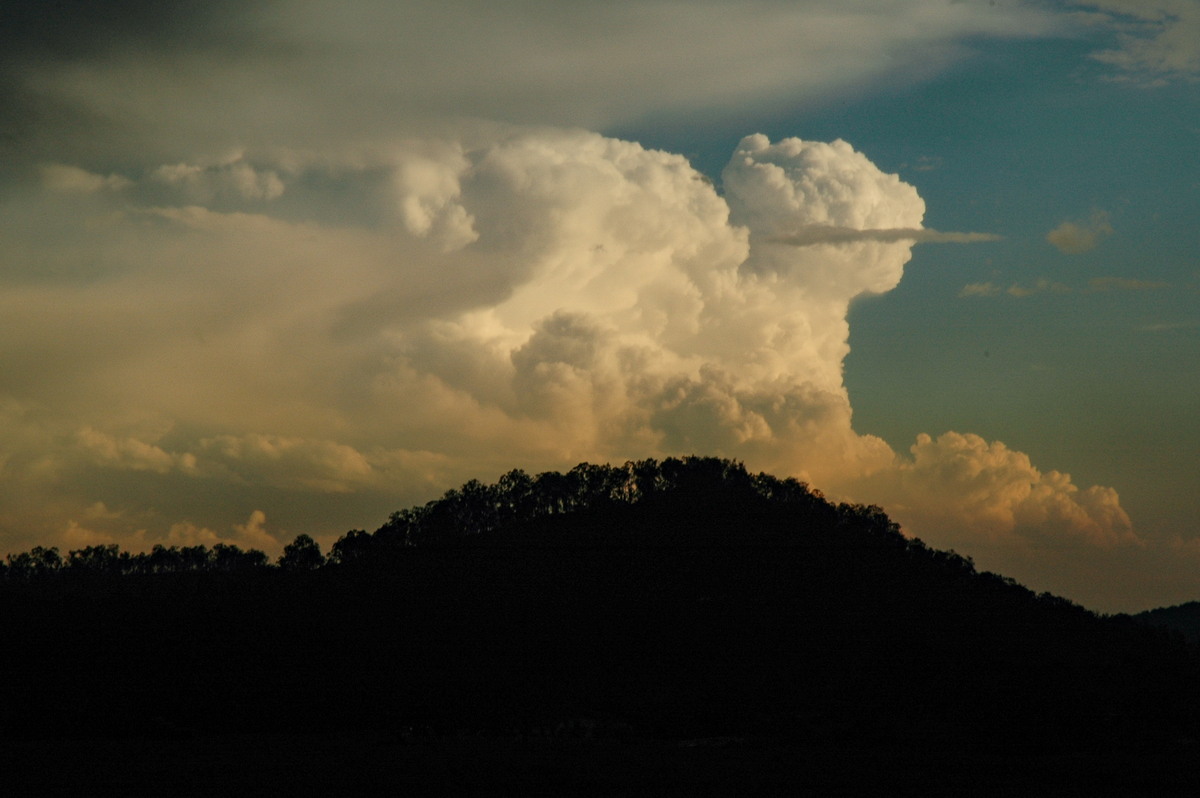 updraft thunderstorm_updrafts : Mallanganee NSW   24 October 2005