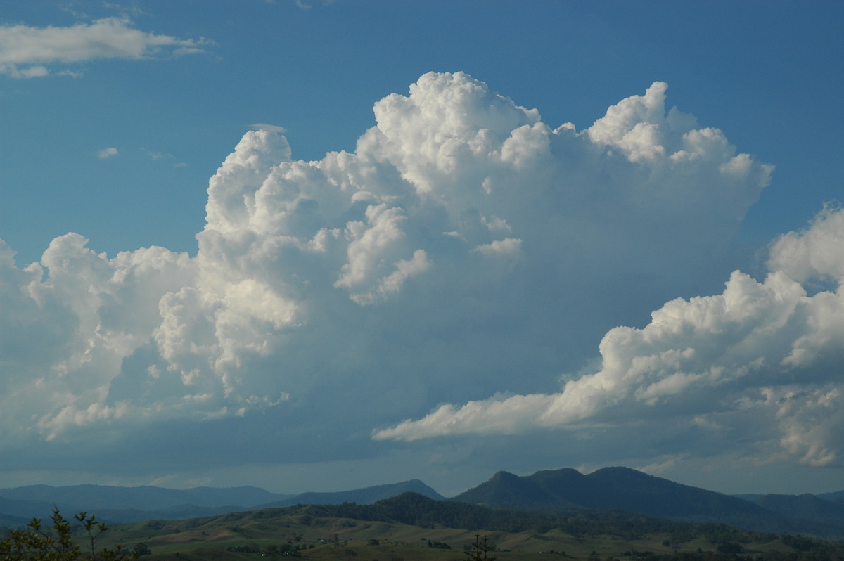 cumulus congestus : Kyogle, NSW   25 October 2005