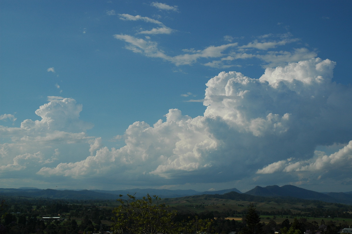 cumulus congestus : Kyogle, NSW   25 October 2005