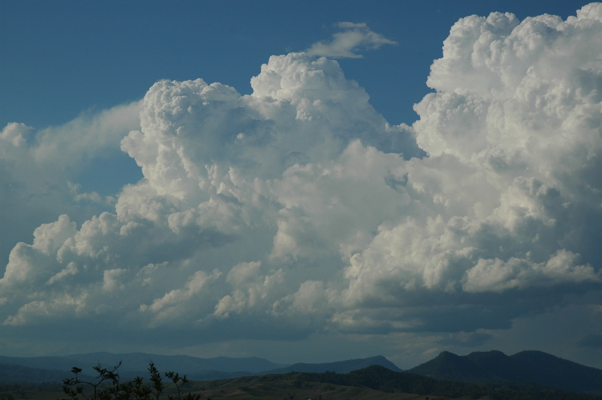 updraft thunderstorm_updrafts : Kyogle, NSW   25 October 2005