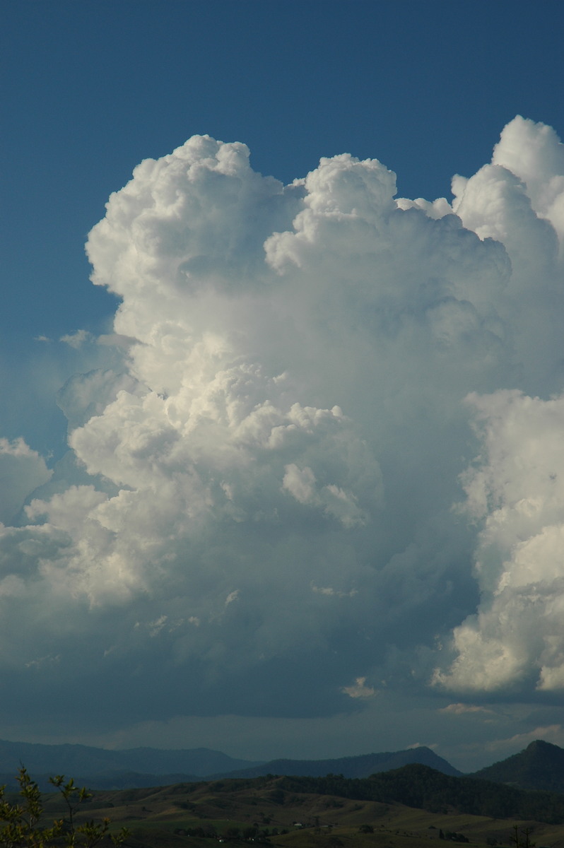 thunderstorm cumulonimbus_calvus : Kyogle, NSW   25 October 2005