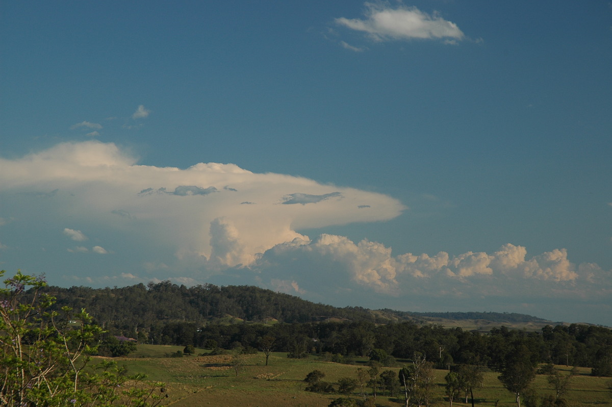 thunderstorm cumulonimbus_incus : Kyogle, NSW   25 October 2005