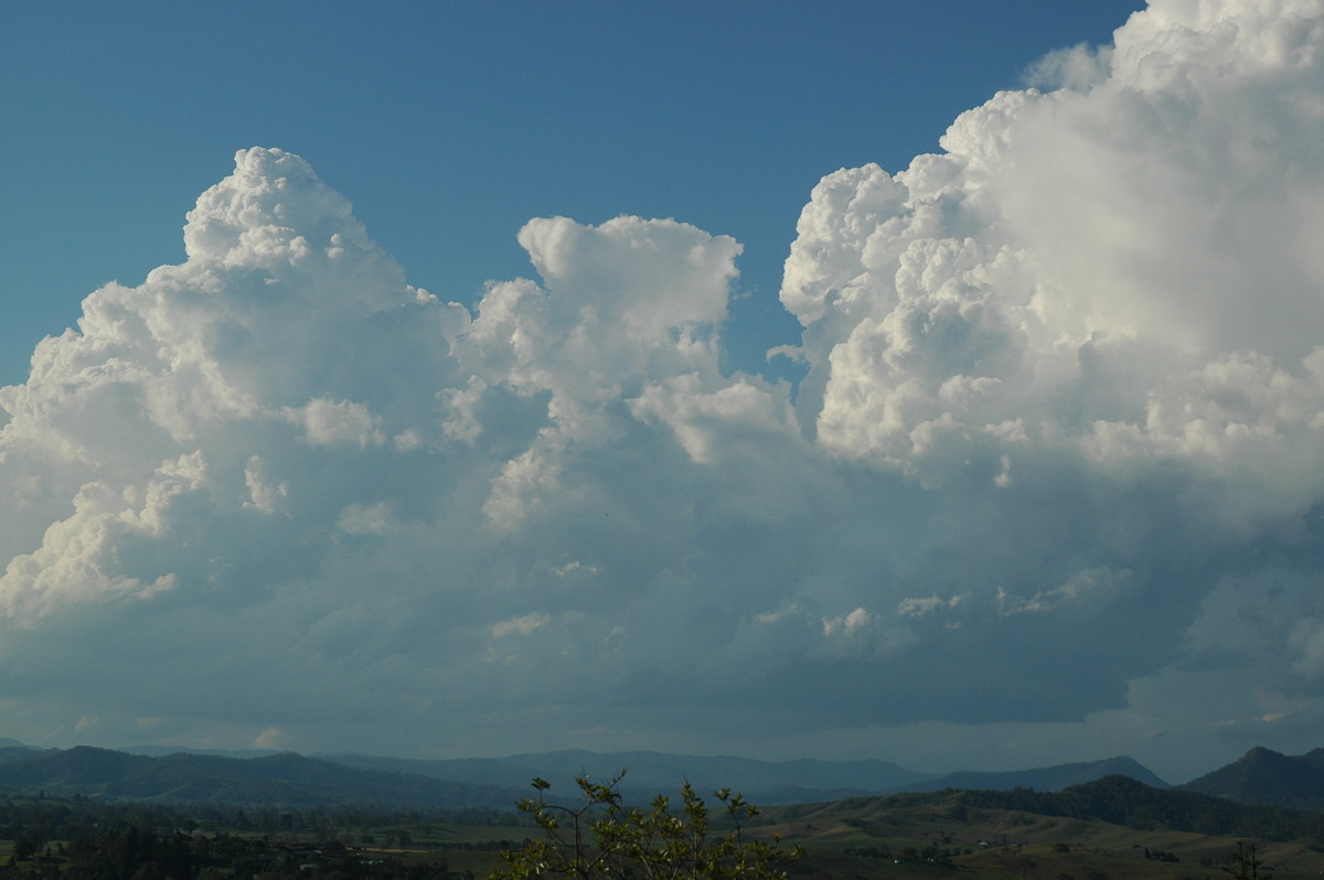 thunderstorm cumulonimbus_calvus : Kyogle, NSW   25 October 2005