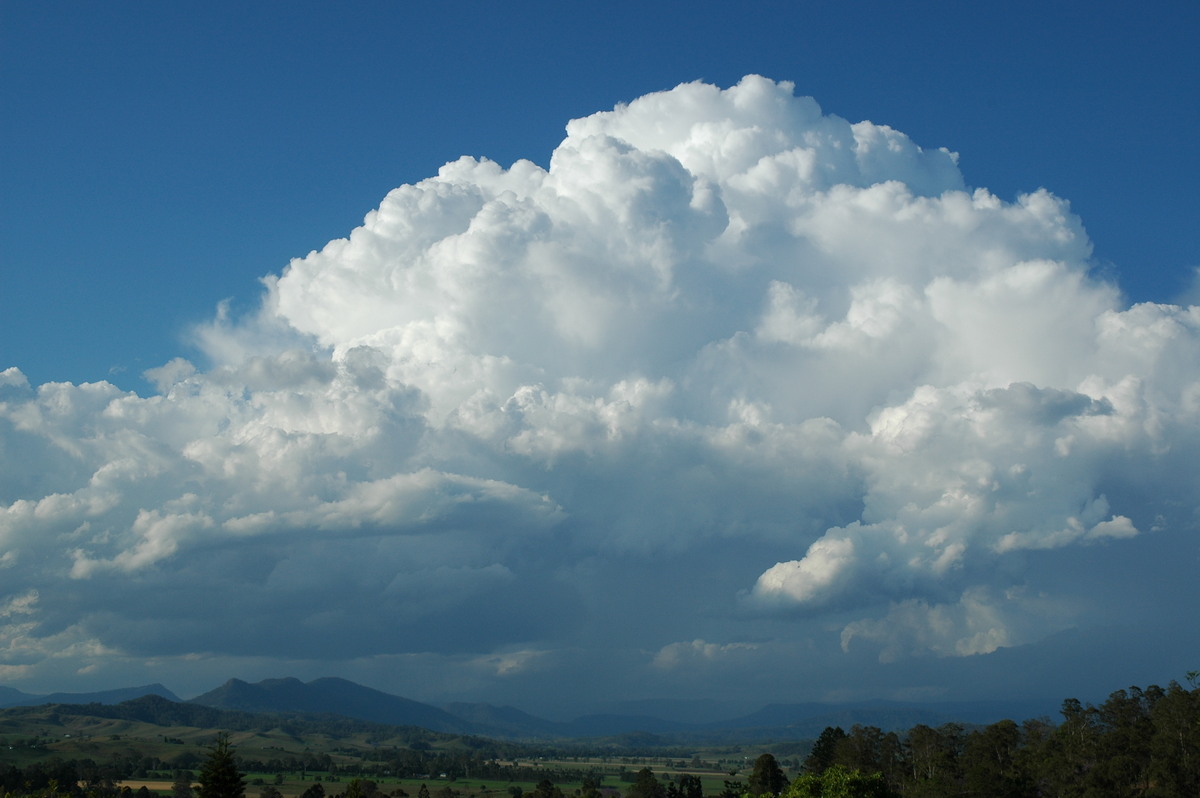 thunderstorm cumulonimbus_calvus : Kyogle, NSW   25 October 2005