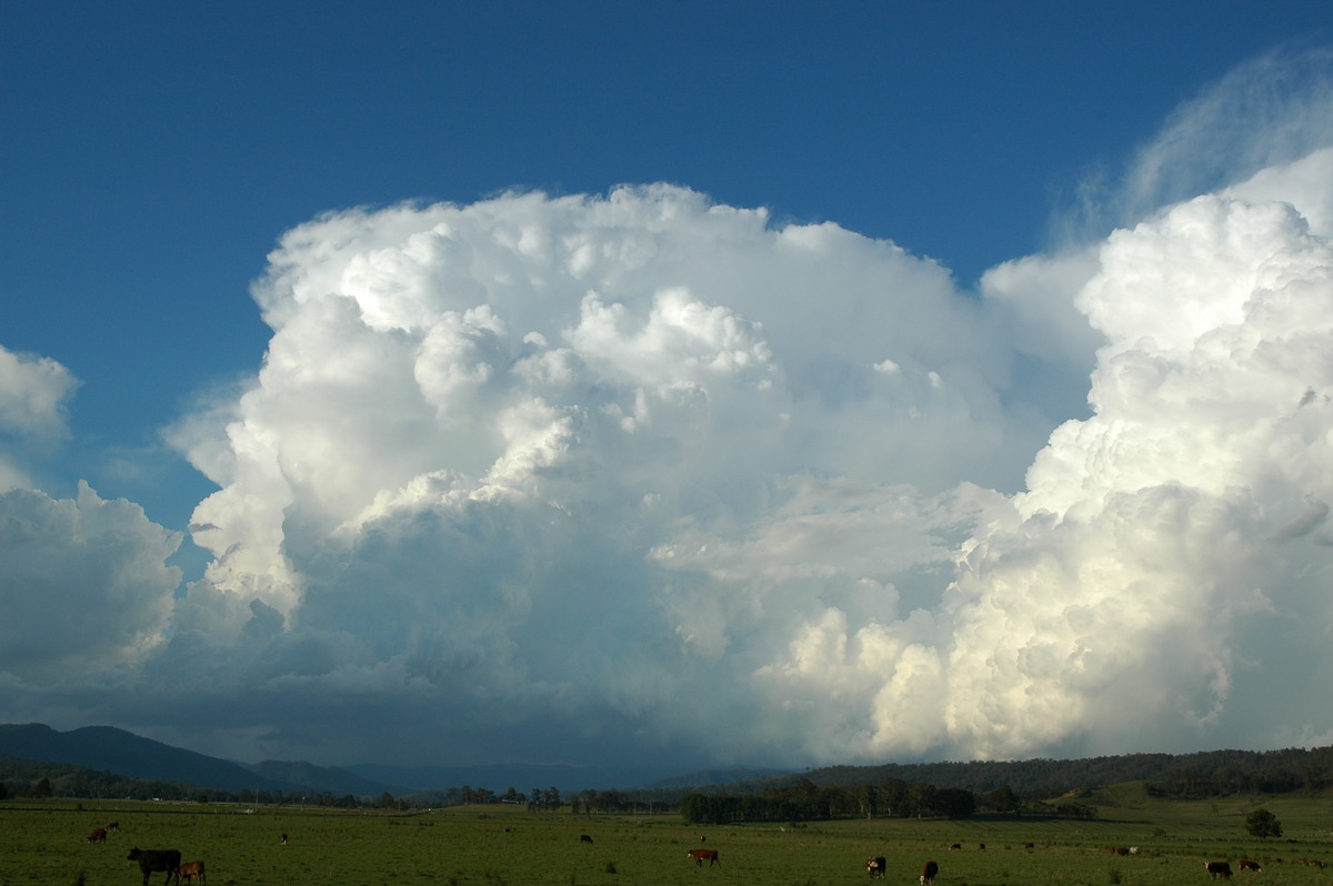 updraft thunderstorm_updrafts : Kyogle, NSW   25 October 2005