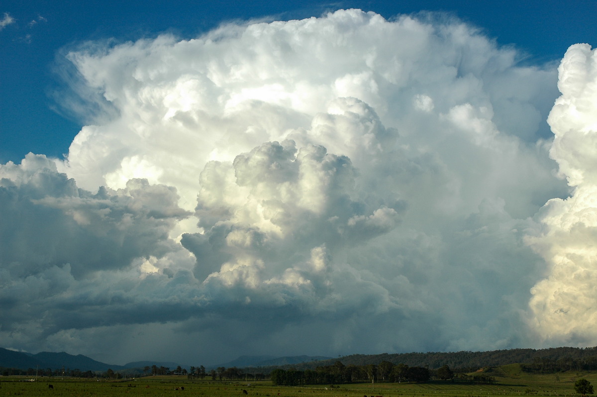 updraft thunderstorm_updrafts : Kyogle, NSW   25 October 2005