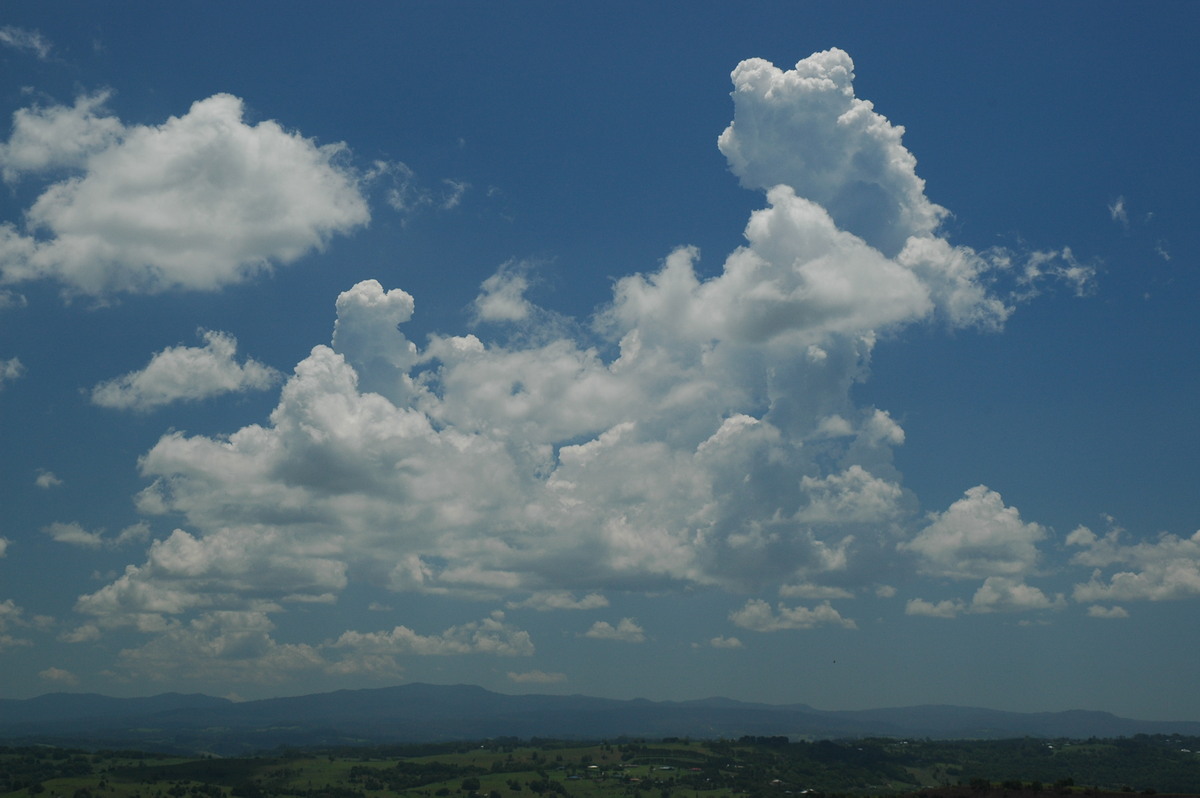 cumulus mediocris : McLeans Ridges, NSW   27 October 2005