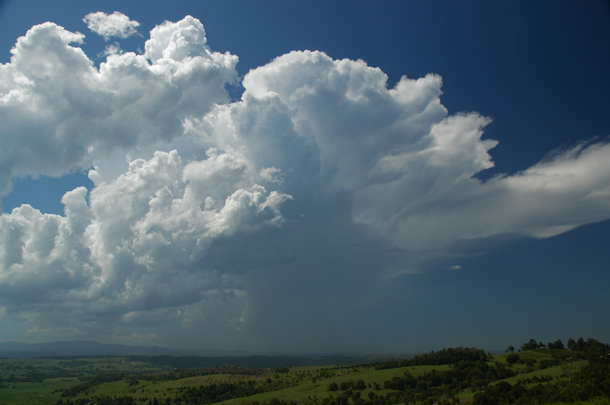 thunderstorm cumulonimbus_incus : McLeans Ridges, NSW   27 October 2005