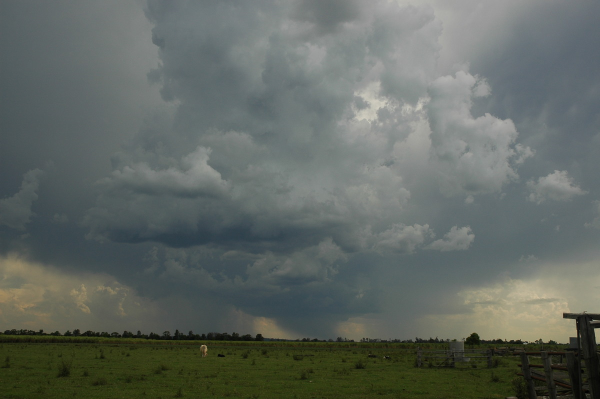 raincascade precipitation_cascade : near Coraki, NSW   27 October 2005