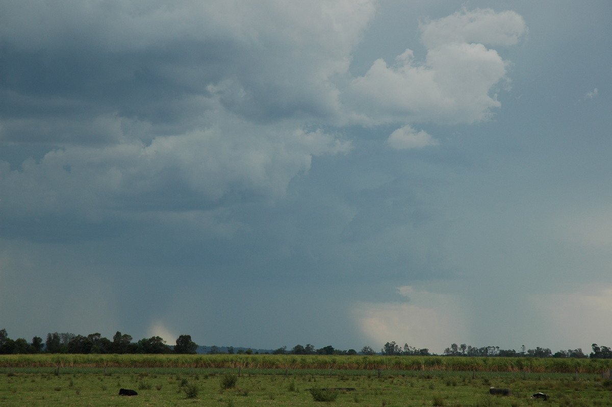 raincascade precipitation_cascade : near Coraki, NSW   27 October 2005