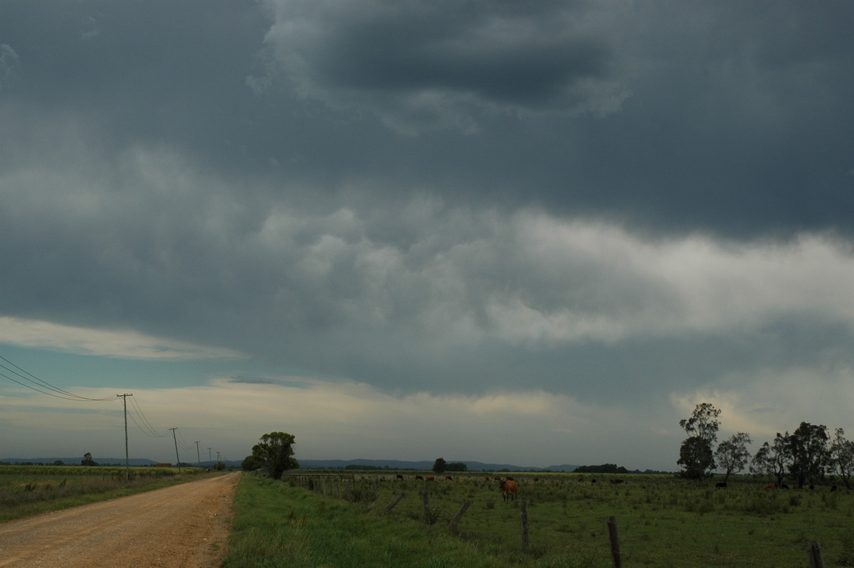 mammatus mammatus_cloud : near Coraki, NSW   27 October 2005