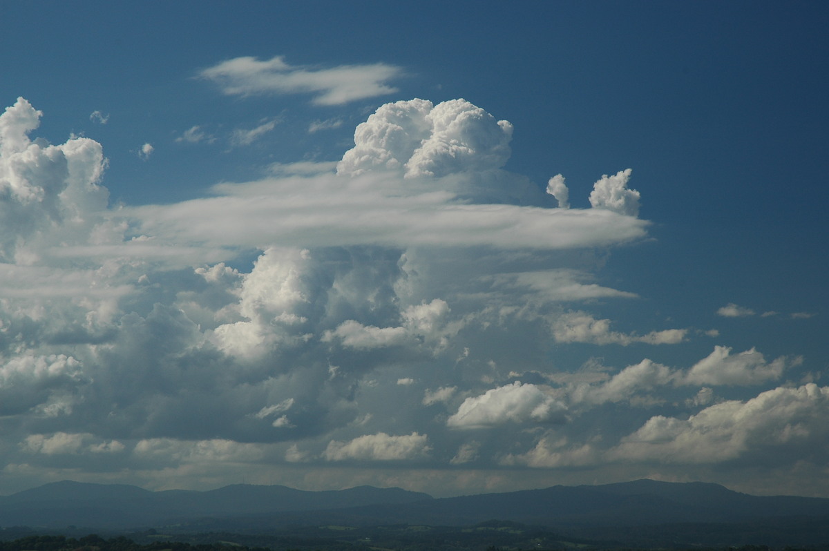 altocumulus lenticularis : McLeans Ridges, NSW   28 October 2005