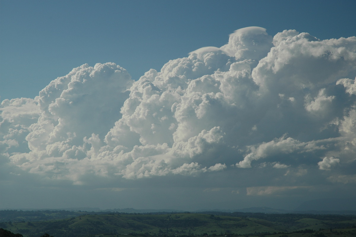 thunderstorm cumulonimbus_calvus : McLeans Ridges, NSW   28 October 2005