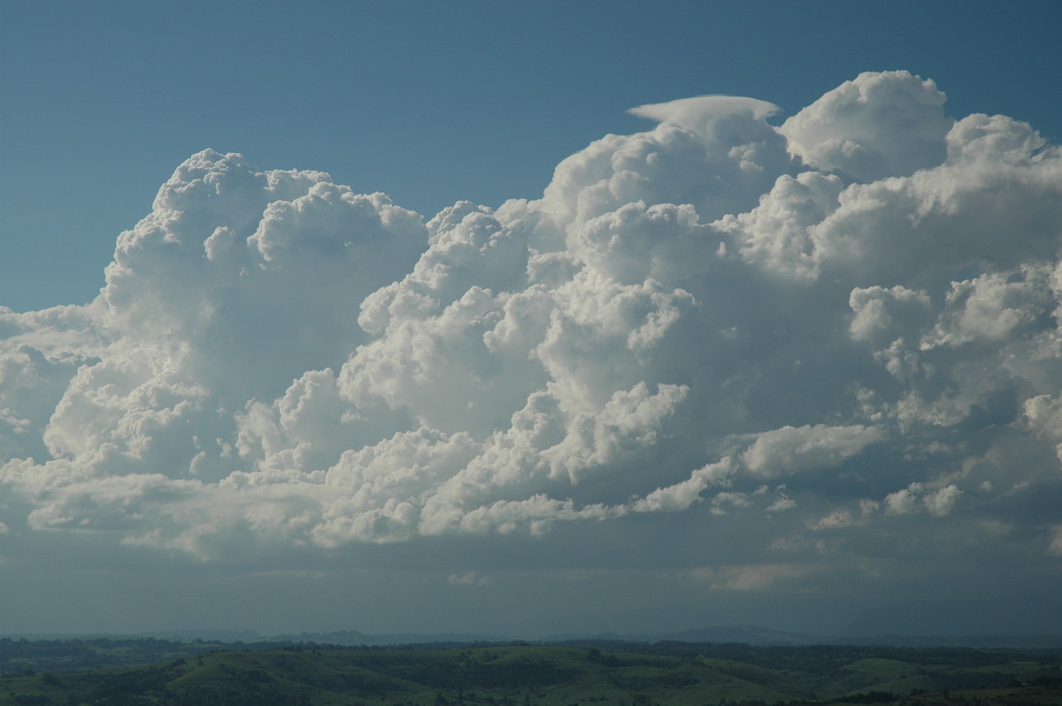 pileus pileus_cap_cloud : McLeans Ridges, NSW   28 October 2005