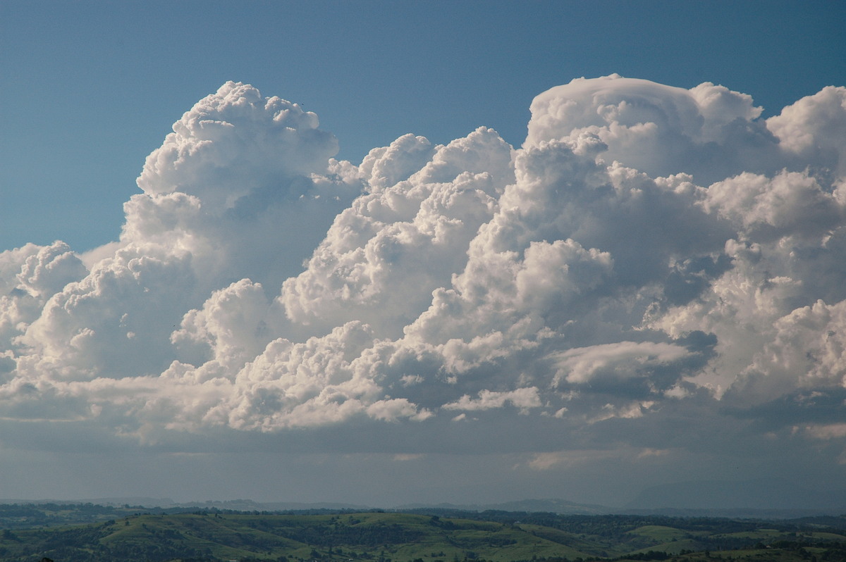 thunderstorm cumulonimbus_calvus : McLeans Ridges, NSW   28 October 2005