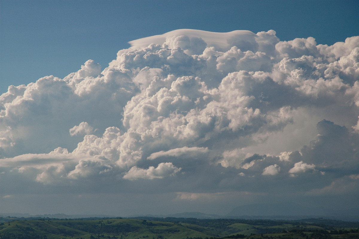 pileus pileus_cap_cloud : McLeans Ridges, NSW   28 October 2005