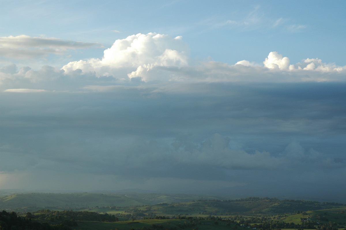 thunderstorm cumulonimbus_calvus : McLeans Ridges, NSW   28 October 2005