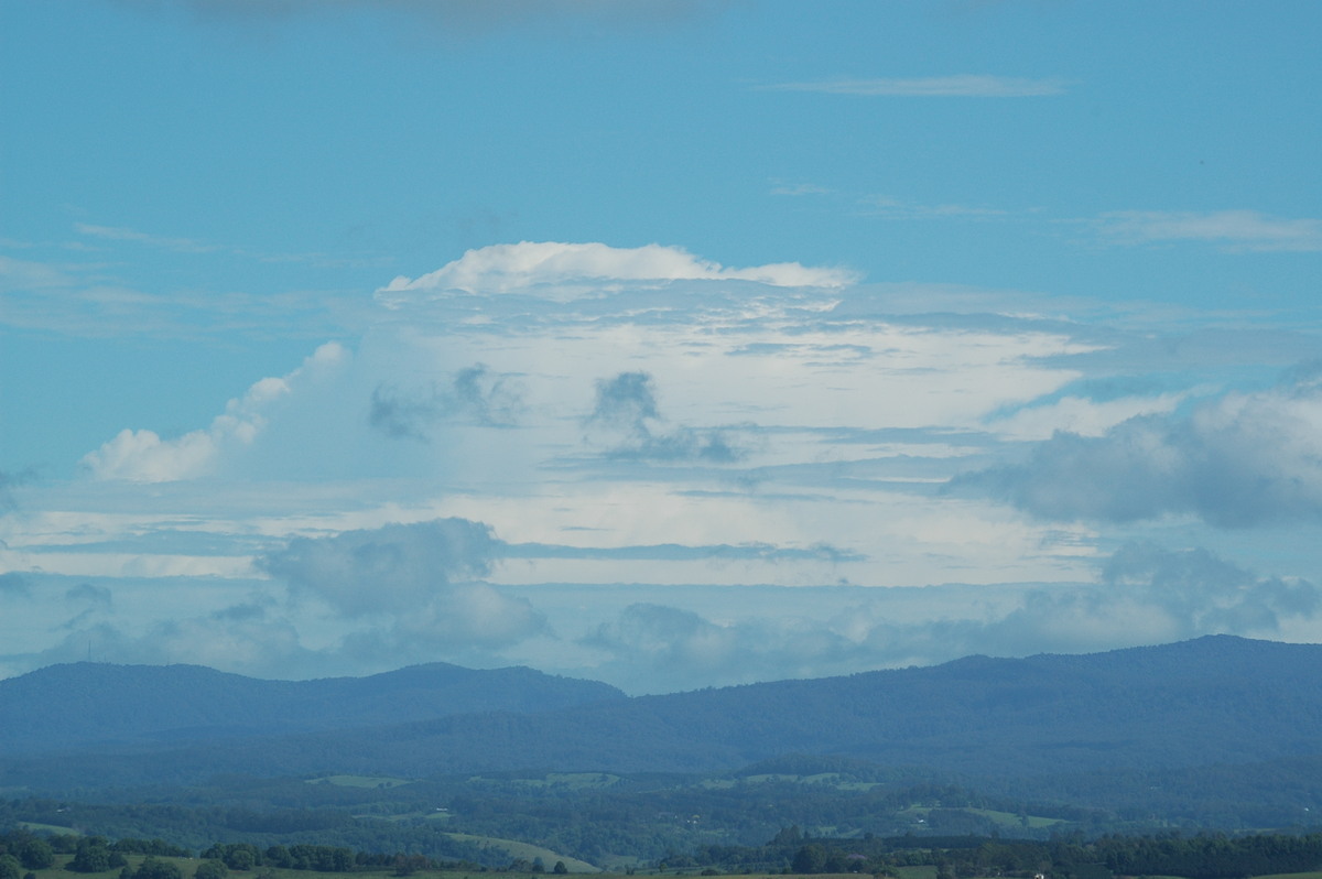 thunderstorm cumulonimbus_incus : McLeans Ridges, NSW   5 November 2005