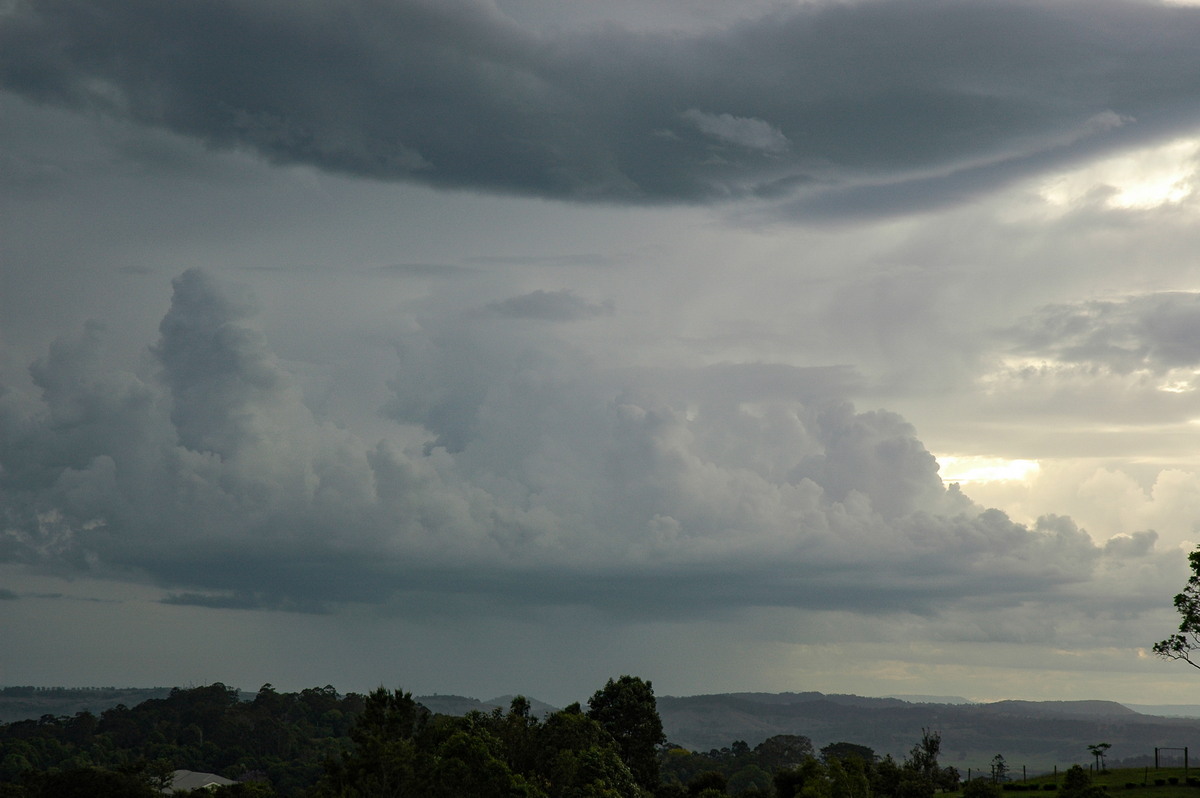 cumulus congestus : Tregeagle, NSW   5 November 2005