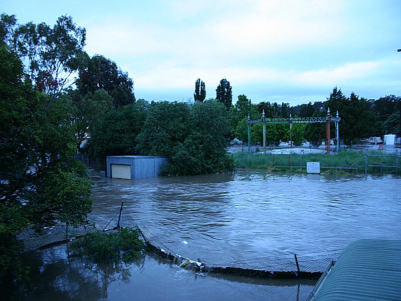 favourites jimmy_deguara : Molong, NSW   8 November 2005