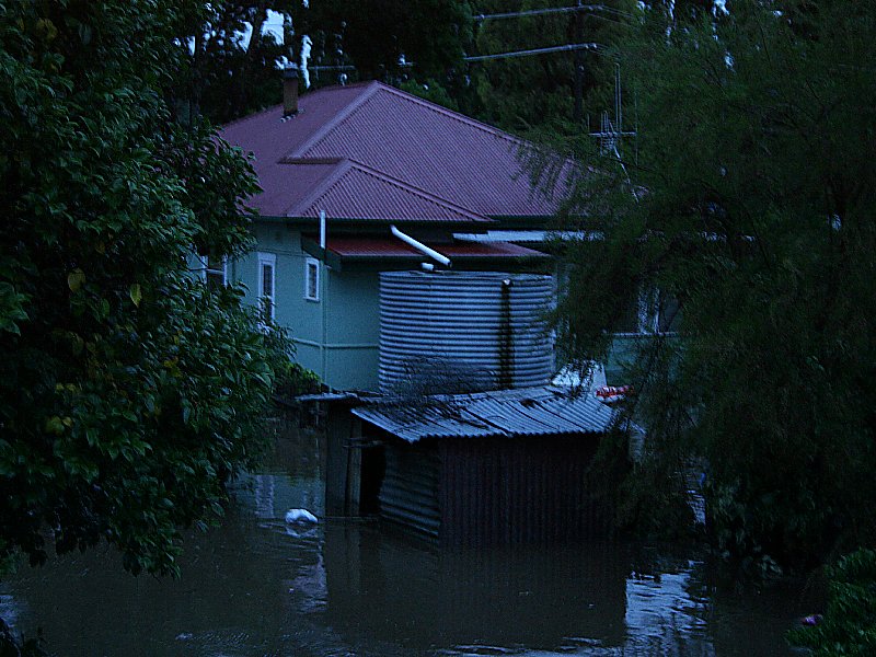 favourites jimmy_deguara : Molong, NSW   8 November 2005