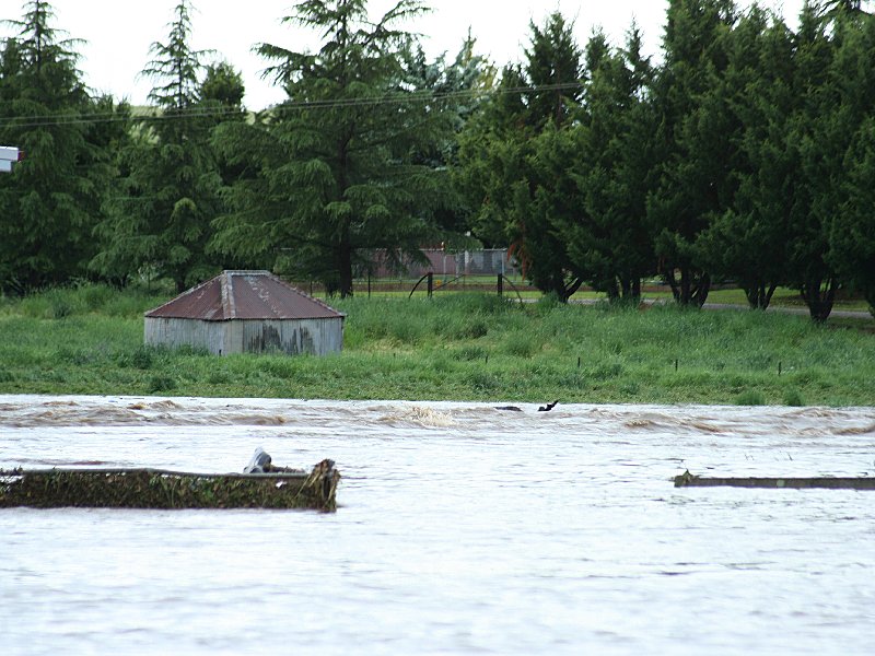 flashflooding flood_pictures : Molong, NSW   8 November 2005