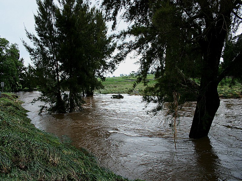 flashflooding flood_pictures : Molong, NSW   8 November 2005