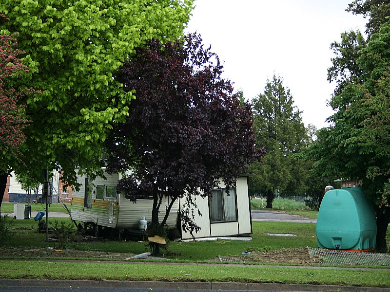 disasters storm_damage : Molong, NSW   8 November 2005